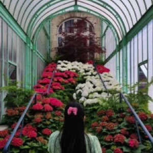 On aime toujours autant Bruxelles 🤩.#brussels #belgium #garden